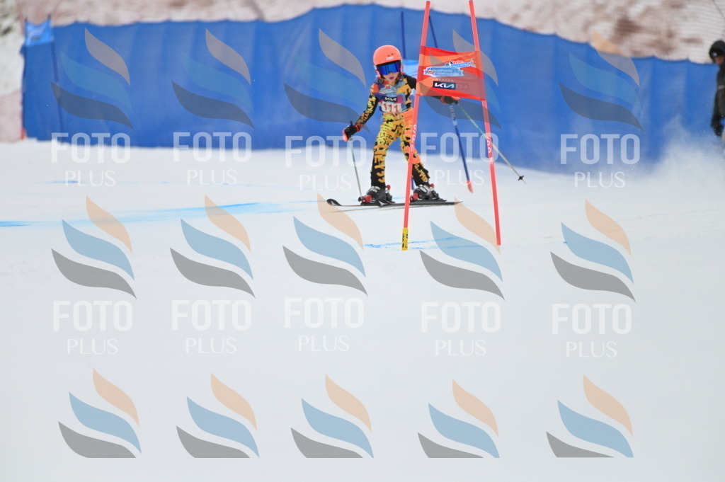 BGV_9423 | holidayphoto