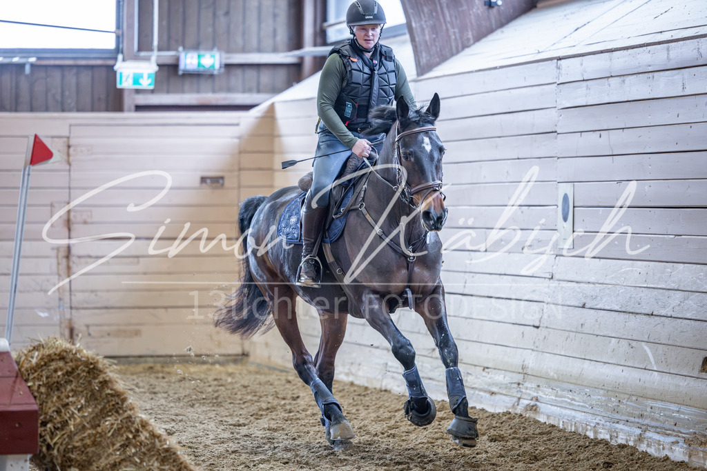 20260221-_3LI9856 | Tierfotografie Pferde, Hunde, Katzen, Haustiere.
Turnierfotografie Reitturniere, Reiten, Springreiten, Dressur in Hanau, dem Main-Kinzig-Kreis und dem Rhein-Main- Gebiet um Frankfurt