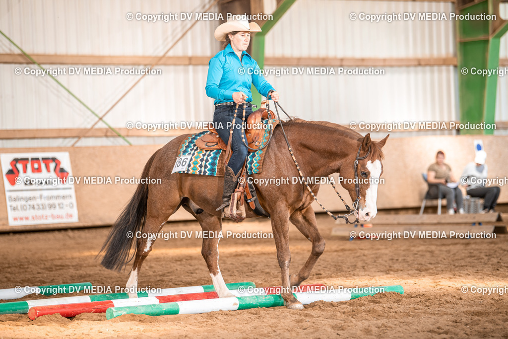 Balingen Tag 4-732 | dv-media-shop - Realisiert mit Pictrs.com