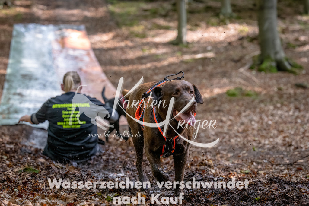 1144_ZZ92358-Bearbeitet | kk-dogfotos