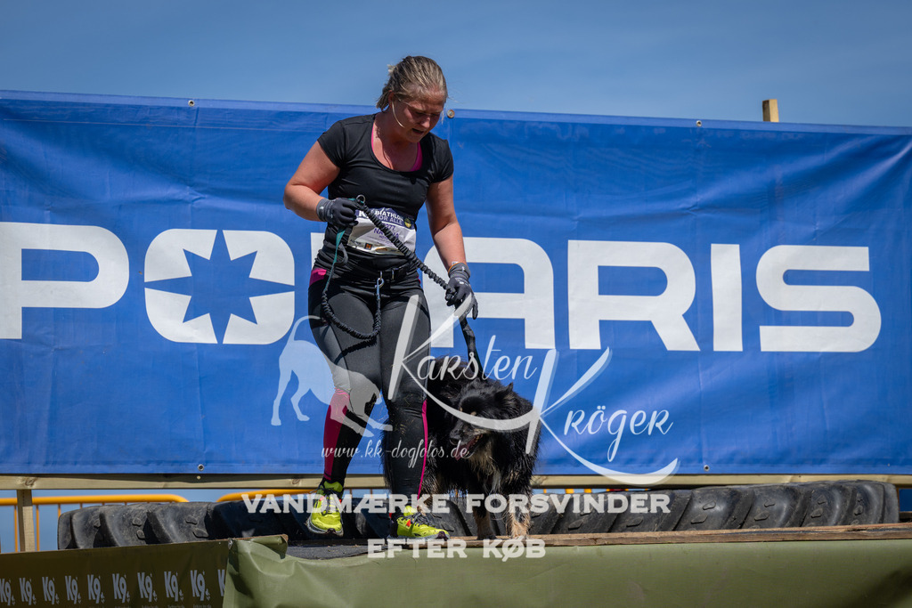 1331_ZZ99018 | kk-dogfotos