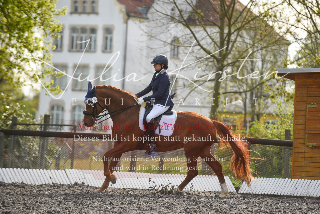 20230513_JK-Röhrsdorf-17-429 | Pferde- und Turnierfotografie in Westsachsen. Pferdeportraits, Auftragszeichnungen und intuitive Kunst.