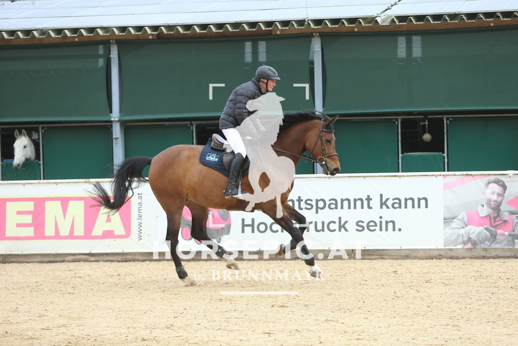 DL2Q8893 | Willkommen bei Brunnmayr - Design & Fotografie – Ihrem Spezialisten für Reitturniere und Pferdeveranstaltungen in Oberösterreich, Salzburg und Bayern! Seit über 17 Jahren sind wir leidenschaftlich dabei.