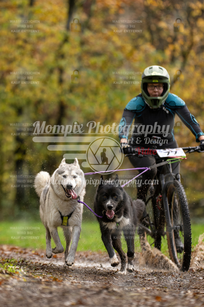 MompixPhotography_Bischwiller23_Bike2-8 | mompixphotography