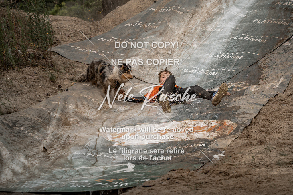 nelerasche_sa1530-1600_46 | nelerasche