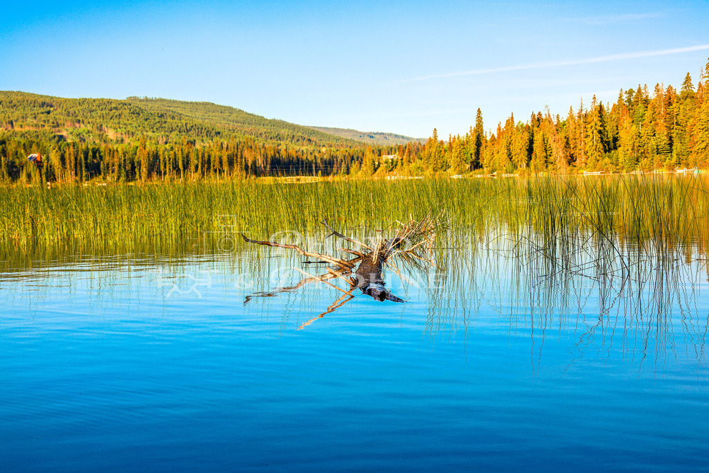 IMG_4025 | Erleben Sie den Zauber des Mittelrheins und entdecken Sie die atemberaubende Auswahl an Fotos und Bildern bei Rheinfotos. Wir bieten eine vielfältige Auswahl an Produkten wie Poster, Karten, Sticker, Textilien und Geschenkartikeln und Fototouren. - Realisiert mit Pictrs.com
