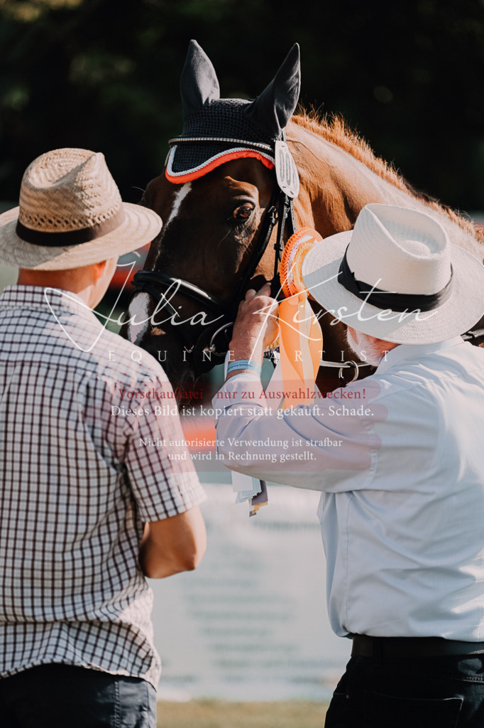 DSC_4901 | Pferde- und Turnierfotografie in Westsachsen. Pferdeportraits, Auftragszeichnungen und intuitive Kunst.