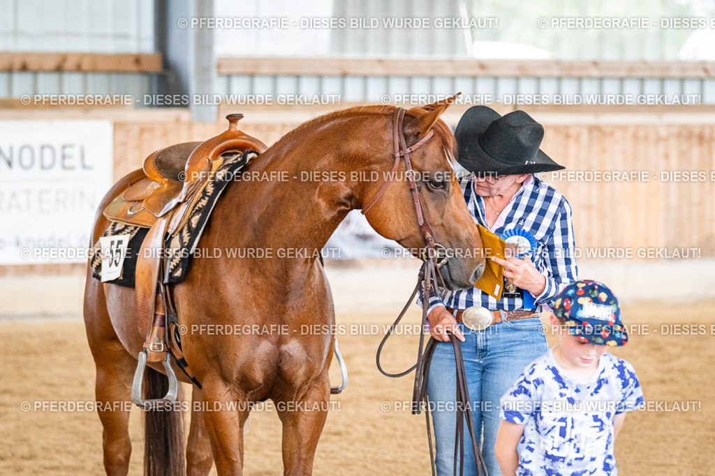 DSC04407 | Pferdegrafie