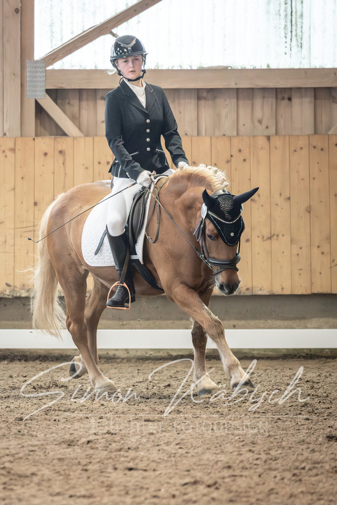 20251011-_3LI6713 | Tierfotografie Pferde, Hunde, Katzen, Haustiere.
Turnierfotografie Reitturniere, Reiten, Springreiten, Dressur in Hanau, dem Main-Kinzig-Kreis und dem Rhein-Main- Gebiet um Frankfurt