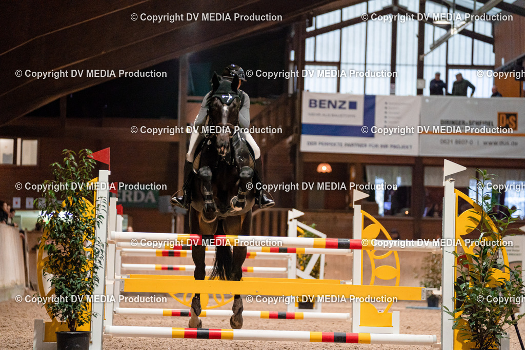 Springen Tag 2-818 | dv-media-shop - Realisiert mit Pictrs.com