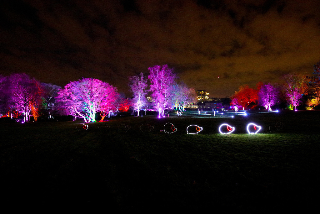 Parkleuchten_GrugaEssen24_63 | Bildergalerie von Sport-Ereignissen aber auch von weiteren spannenden Dingen - nicht nur vom Niederrhein. In Anlehnung an den bekannten Spruch von Hanns Dieter Hüsch heißt das Motto: "Niederrhein ist überall".  - Realisiert mit Pictrs.com