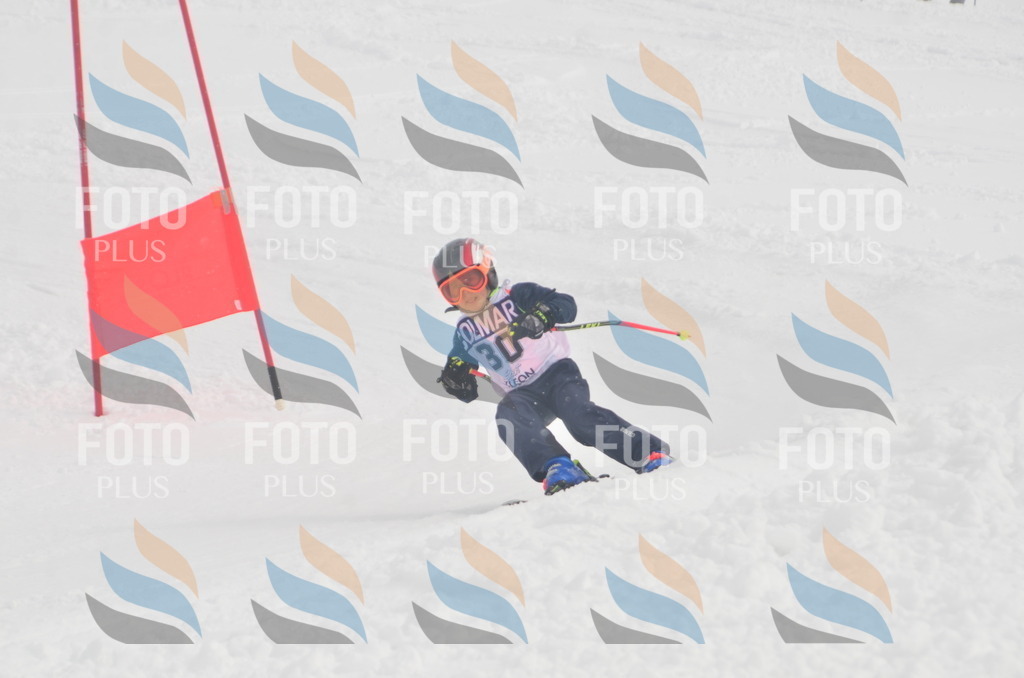 A5240 | holidayphoto