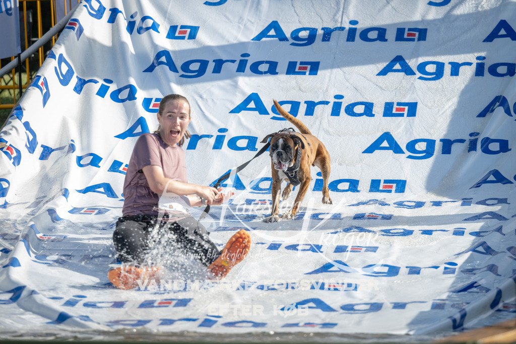 0927_ZZ95512 | kk-dogfotos