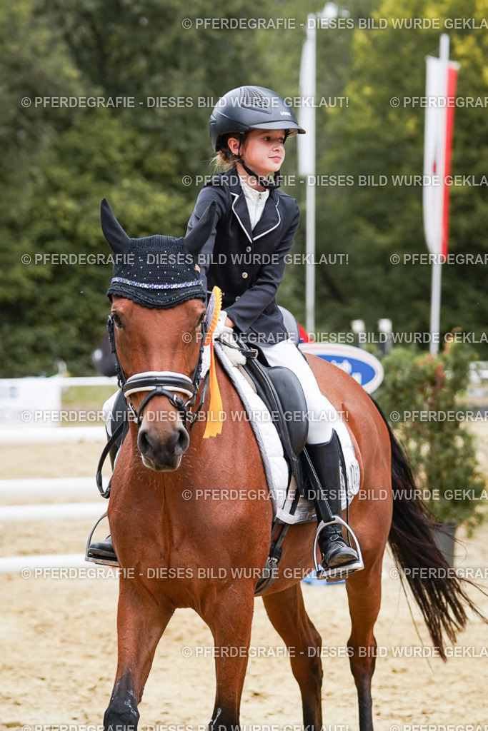 DSC06088 | Pferdegrafie