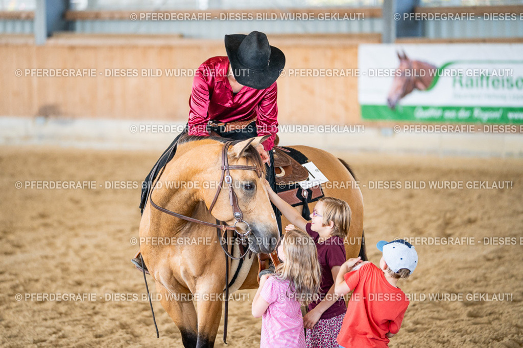 DSC03489 | Pferdegrafie