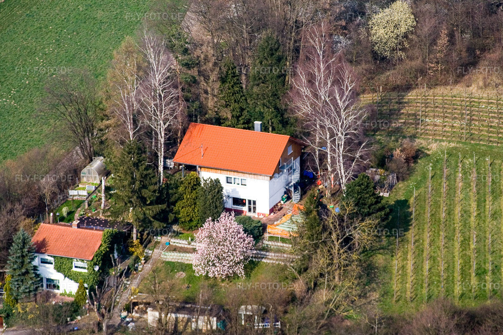 Luftbild: Haingasse in Dierbach im Bundesland Rheinland-Pfalz in Deutschland. Foto: IMG_5554.jpg vom 15.03.2007 durch Werner Riehm/FLY-FOTO.de