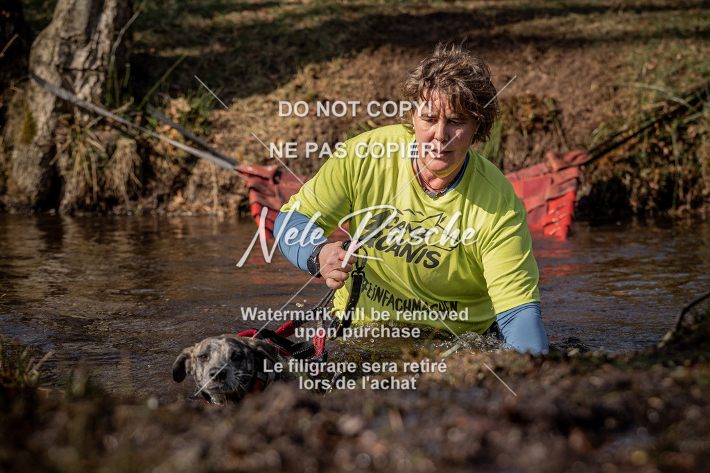 nelerasche_FS1330-1400_61 | nelerasche