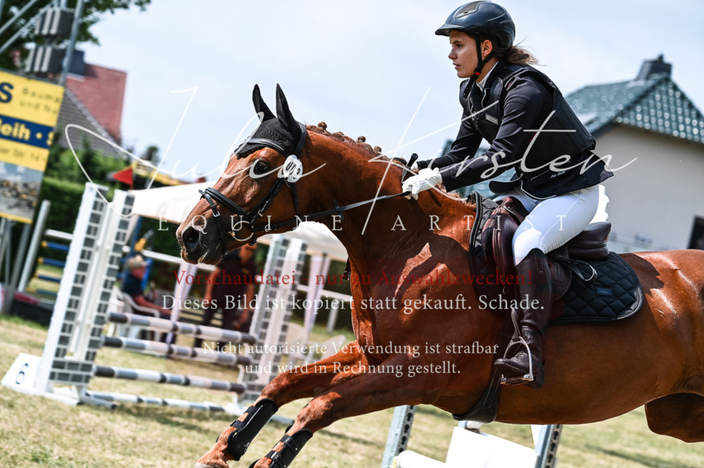 DSC_8844 | Pferde- und Turnierfotografie in Westsachsen. Pferdeportraits, Auftragszeichnungen und intuitive Kunst.