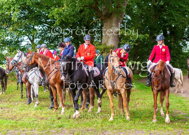 Jagd Perdoel 26 Sony-03962_MarinaHewig | Fotografie, FotoArt, PferdesportArt, Pferdesportfotografie, Landschaftsfotografie, Reisefotografie, Reise, Pferde - Realisiert mit Pictrs.com