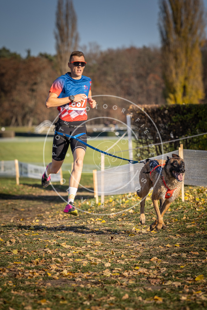 CaniXpix_DV3A0813 | Hundefotografie, Tierfotograf, Pfotenfotografie, Fotoshooting Hund, Hunde Portrait, Hundesport, Hundeportraits, Heideshooting, Hunde, Sportfotograf, Hundefotograf, Turnierhundsport, THS,  - Realisiert mit Pictrs.com