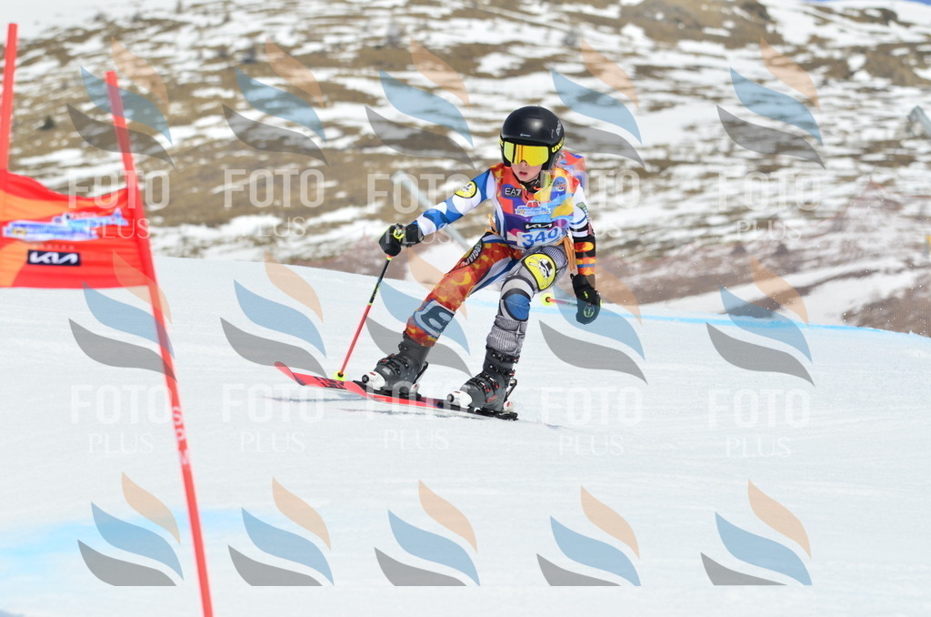 _ELE2545 | holidayphoto