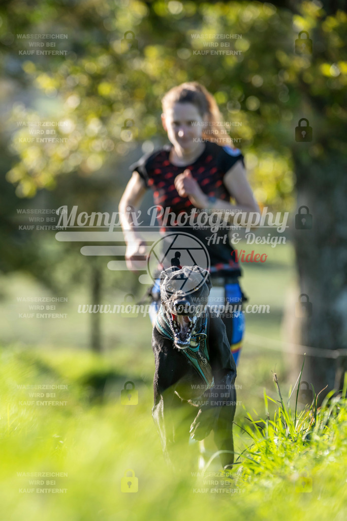 MompixPhotography_20TSB_E3_Run-185 | PayLife