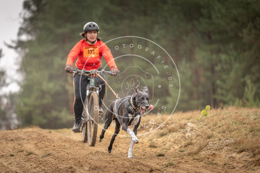 Pfotenfotografie_DV3A3784 | Hundefotografie, Tierfotograf, Pfotenfotografie, Fotoshooting Hund, Hunde Portrait, Hundesport, Hundeportraits, Heideshooting, Hunde, Sportfotograf, Hundefotograf, Turnierhundsport, THS,  - Realisiert mit Pictrs.com