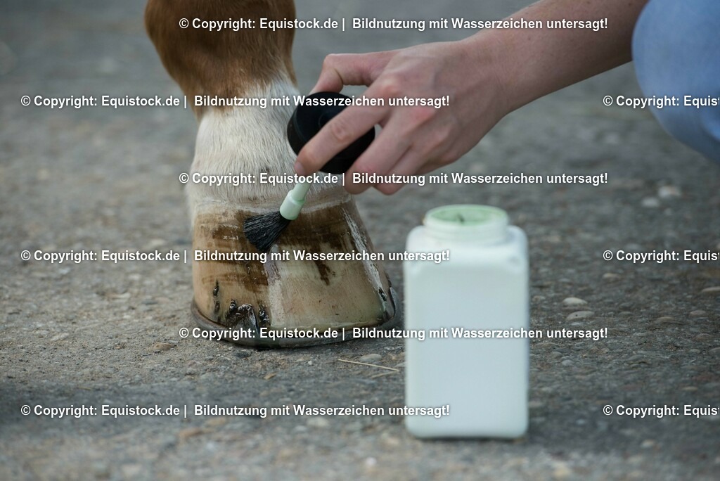 20160626_Hufpflege_0015-2 | Foto: Thomas Hartig