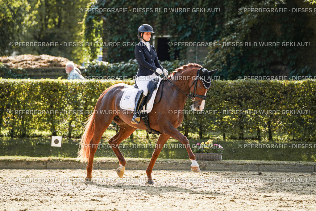 DSC07564 | Pferdegrafie