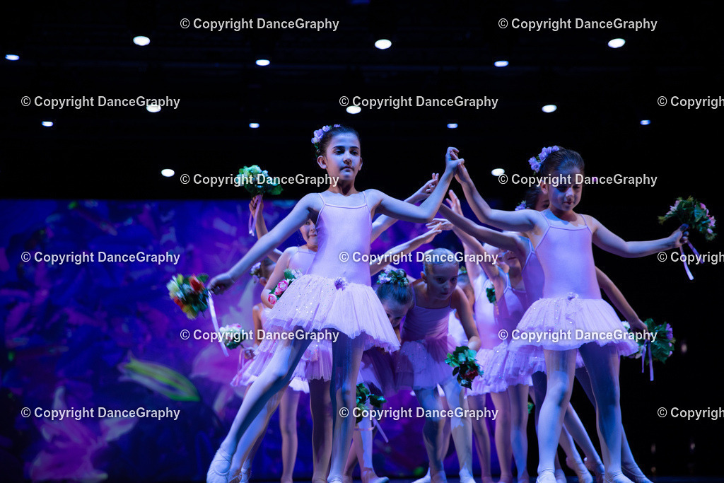 GPHY4858 | DanceGraphy - Realisiert mit Pictrs.com