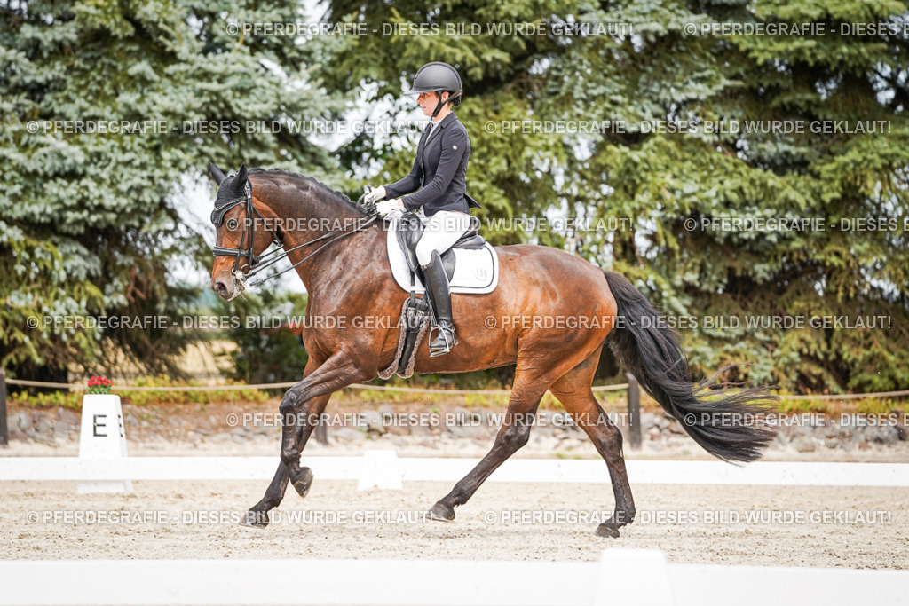 DSC05835 | Pferdegrafie