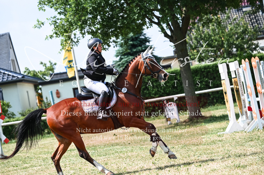 DSC_8704 | Pferde- und Turnierfotografie in Westsachsen. Pferdeportraits, Auftragszeichnungen und intuitive Kunst.