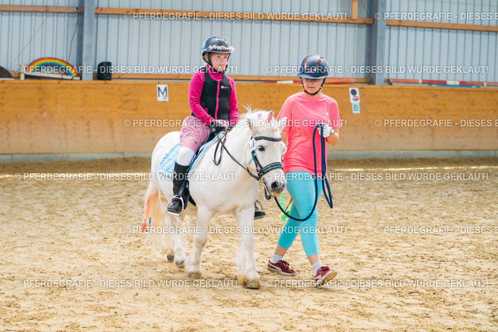 DSC00741 | Pferdegrafie