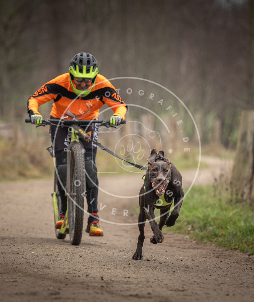 Pfotenfotografie_DV3A2190 | Hundefotografie, Tierfotograf, Pfotenfotografie, Fotoshooting Hund, Hunde Portrait, Hundesport, Hundeportraits, Heideshooting, Hunde, Sportfotograf, Hundefotograf, Turnierhundsport, THS,  - Realisiert mit Pictrs.com