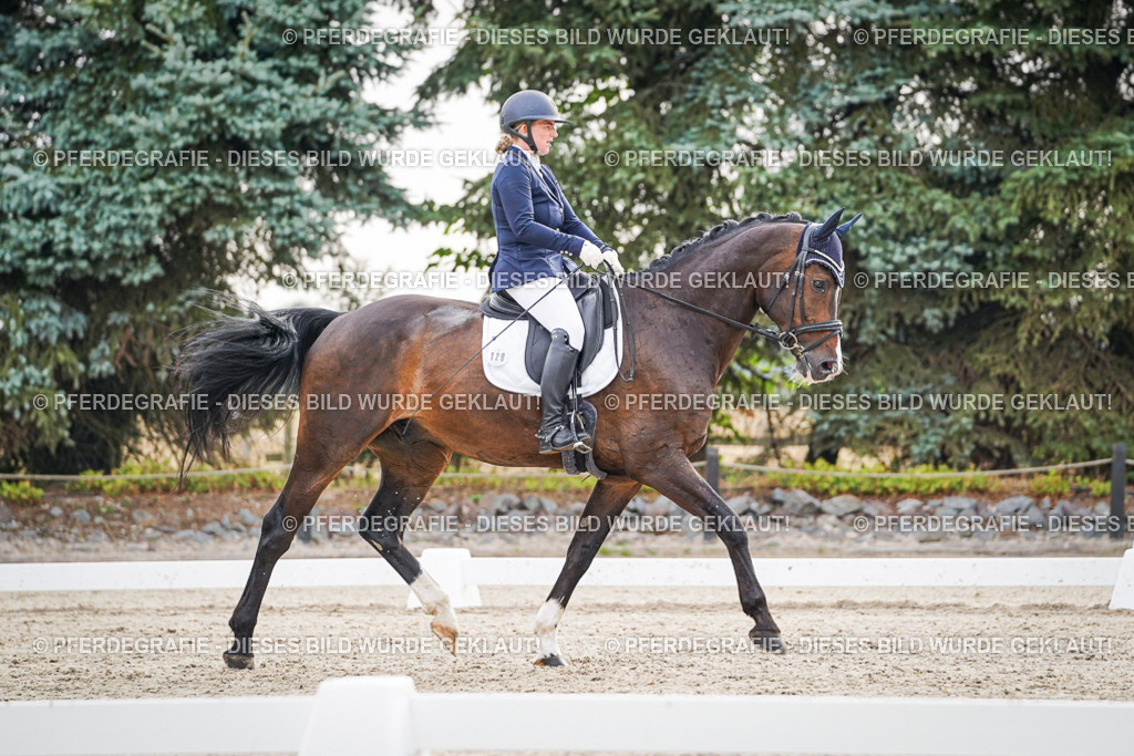 DSC00205 | Pferdegrafie