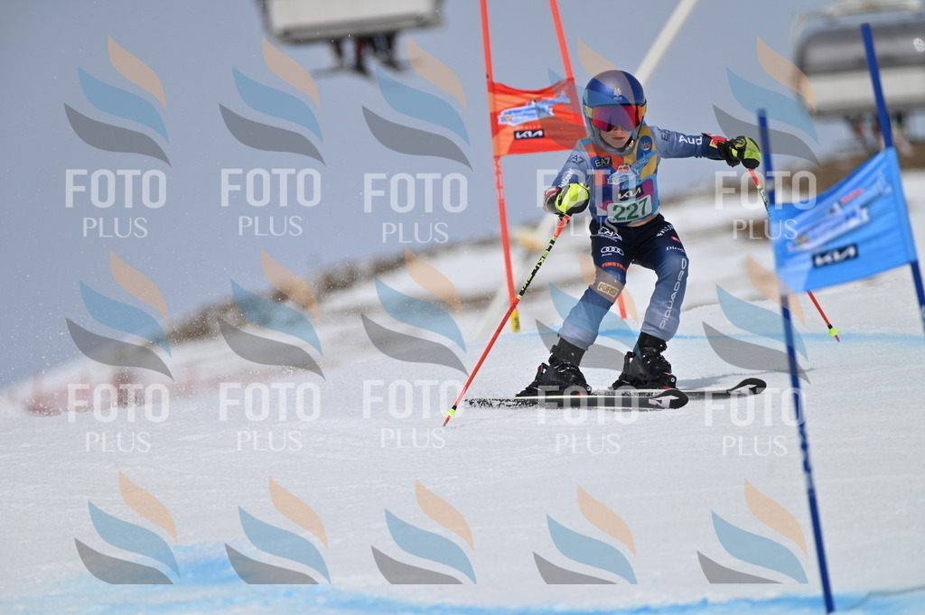 BGV_4480 | holidayphoto