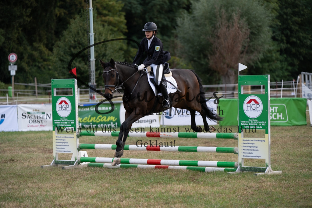 A7V07914 | Pferdefotograf