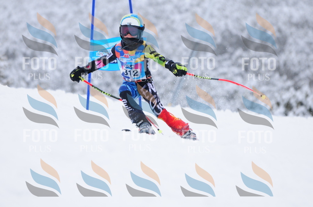 C3306 | holidayphoto