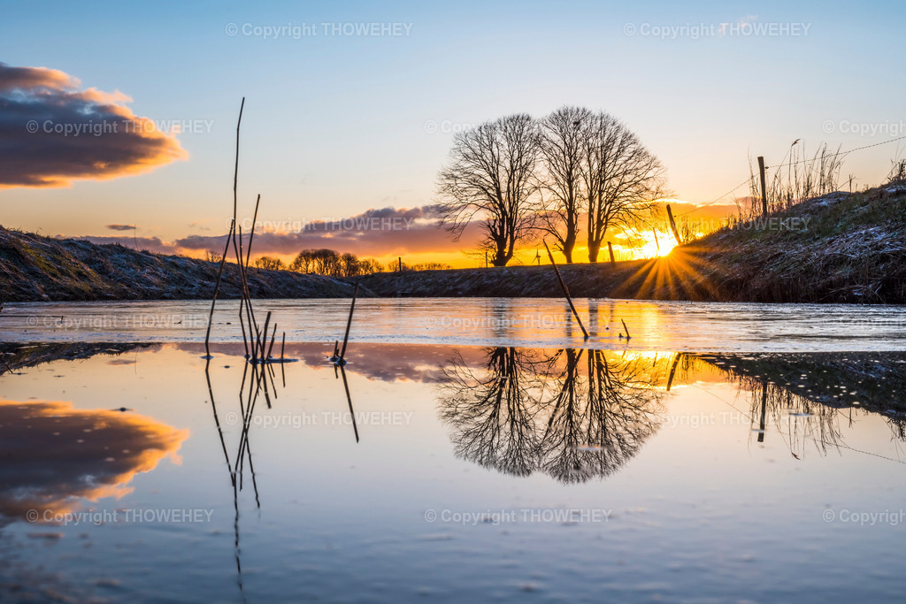 _1026552 | thowehey - Realisiert mit Pictrs.com