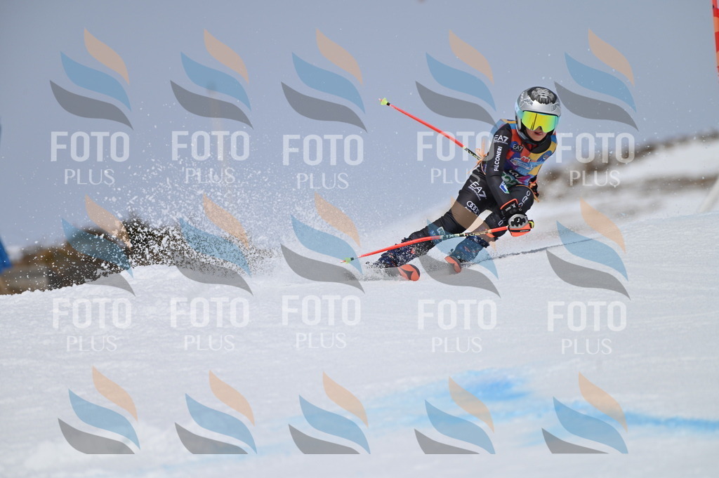 BGV_4344 | holidayphoto