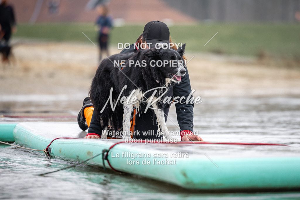 nelerasche_Hulsbeek_Sa1100-1130_268 | nelerasche