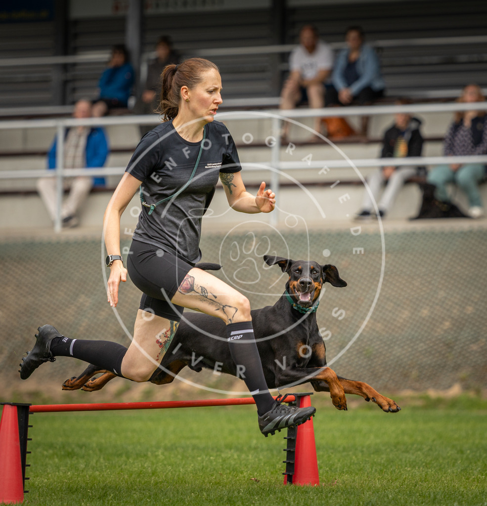 Pfotenfotografie_DV3A9607 | Hundefotografie, Tierfotograf, Pfotenfotografie, Fotoshooting Hund, Hunde Portrait, Hundesport, Hundeportraits, Heideshooting, Hunde, Sportfotograf, Hundefotograf, Turnierhundsport, THS,  - Realisiert mit Pictrs.com