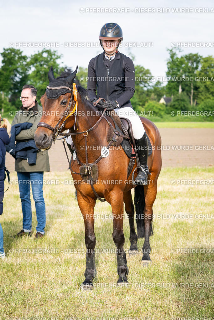 DSC03100 | Pferdegrafie