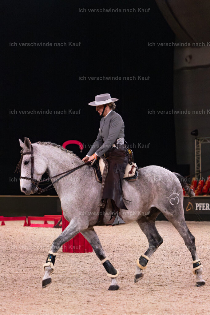 JoseraCup-18 | working equitationturnier fotograf videograf stoibphotography marixx film working equitation deutschland reitsport turnierfotografie eventfotografie equestrian events