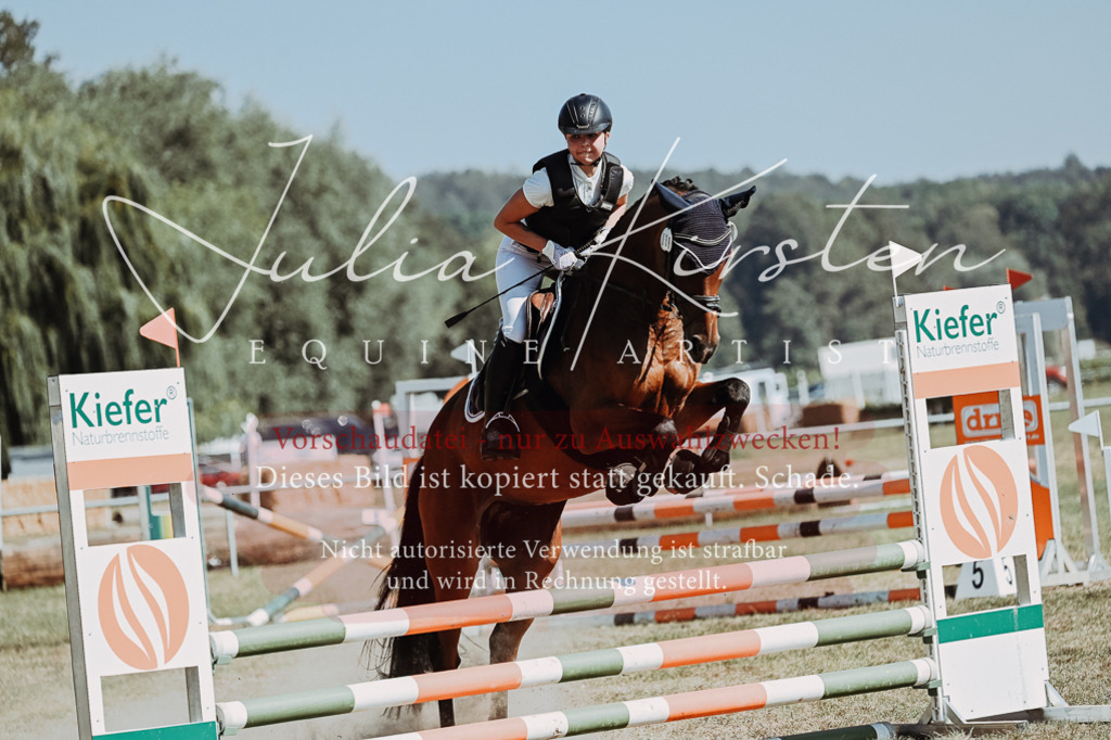 DSC_9680 | Pferde- und Turnierfotografie in Westsachsen. Pferdeportraits, Auftragszeichnungen und intuitive Kunst.