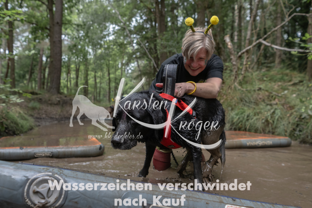 1338_ZZ95060 | kk-dogfotos