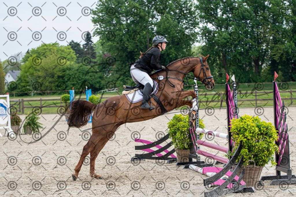 KPT_2097 | andre_photographic