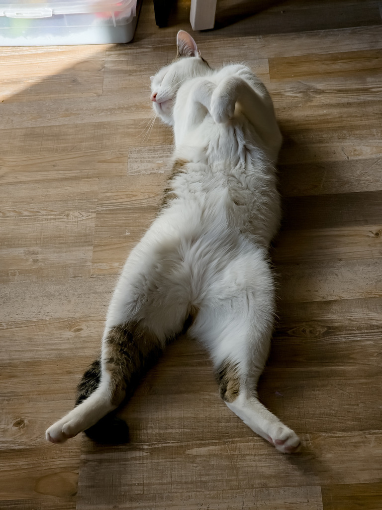 PSX_20230822_230205 | mtkfoto_ - Realisiert mit Pictrs.com