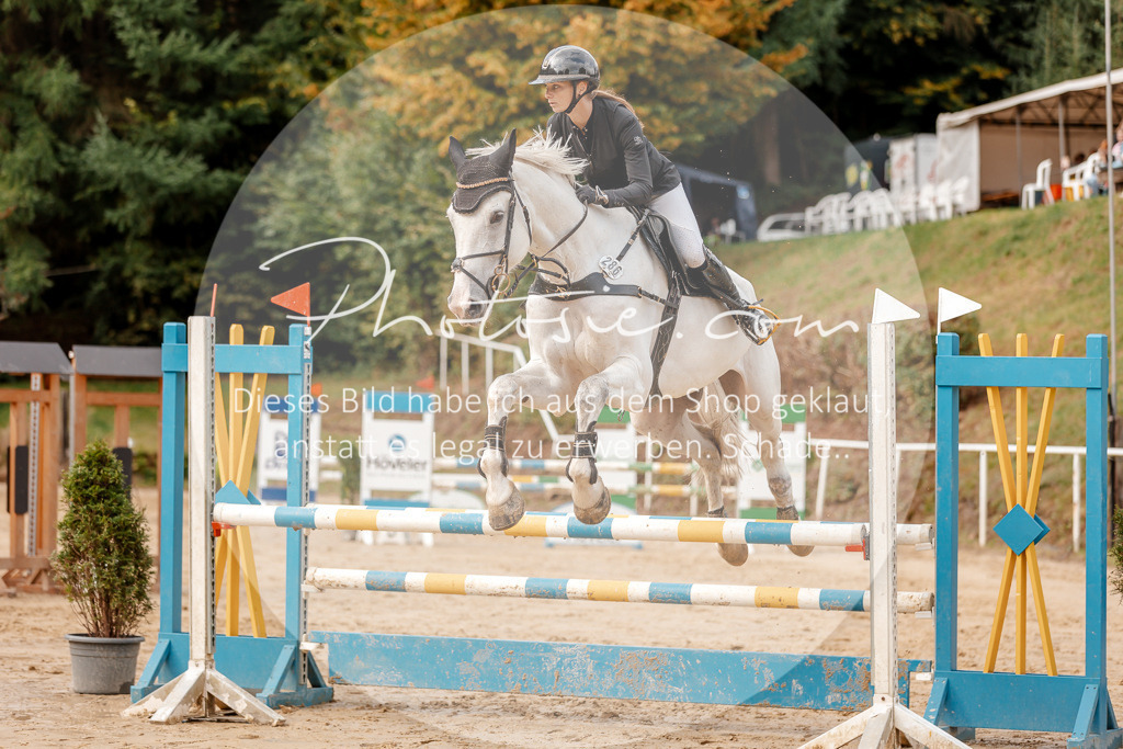 3I6A6800 | Stimmungsvolle Portraits und Reitsportfotografie im Ruhrgebiet und im Münsterland.

Pferdefotografie, Hundefotografie, Tierfotografie, Reportagen, Portraits von Tier und Mensch, Turnierfotografie in Bochum, Recklinghausen, Marl, Haltern am See, Dülmen.. - Realisiert mit Pictrs.com