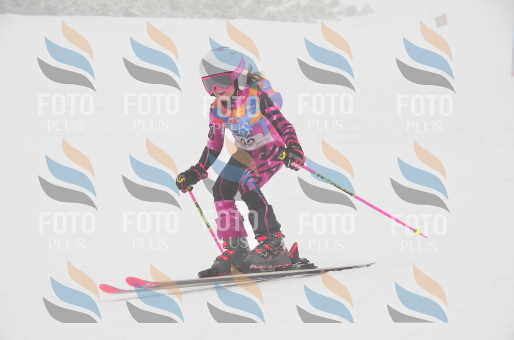 C1253 | holidayphoto